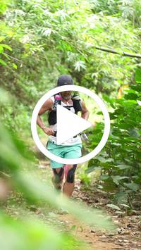 BIB:  <button type="button" onclick="openModal(26823316)" class="btn btn-primary btn-sm float-right" data-toggle="modal" data-target=".modal-high-quality">
                <i class="fa fa-download"></i> Download
                </button>